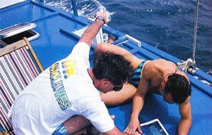 le sillage du dauphin bleu dans les années 1990 aux Maldives